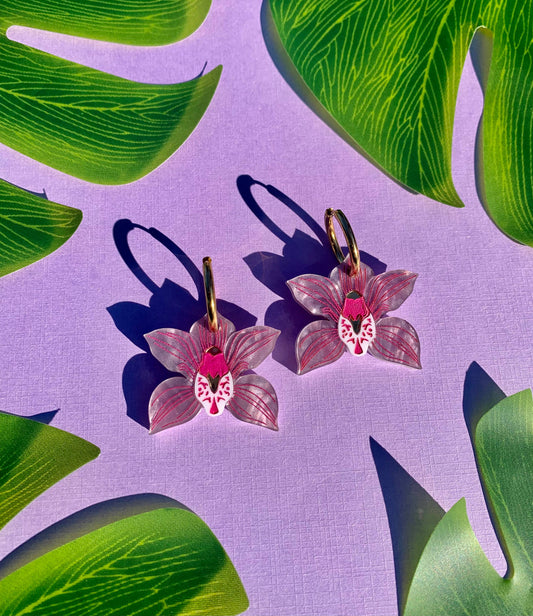 Orchids 