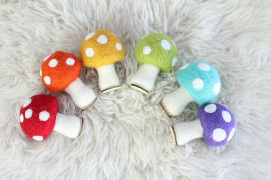 Rainbow Mushrooms | Set of 6