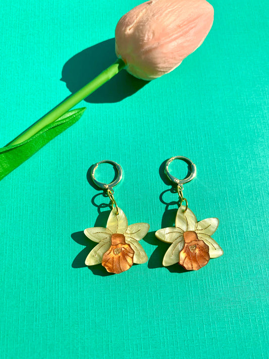 Mini Daffodils 