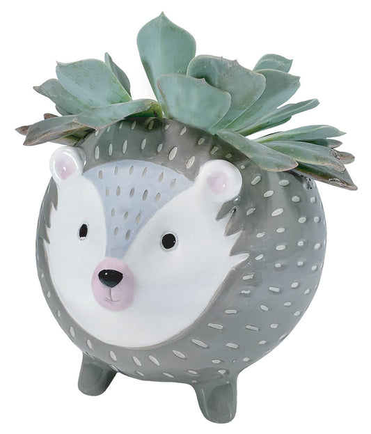 Woodland Animal Collection Hedgehog Planter