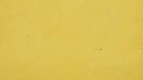LOKTA DYED BUMBLEBEE 19.5X29.5