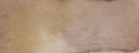 EARTHENWARE PINTO DYED LOKTA PAPER