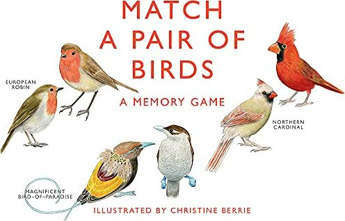 Match a Pair of Birds: A Memory Game