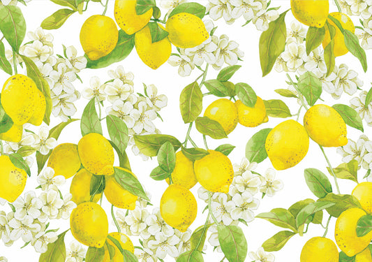Amalfi Lemons Note Cards (14 cards, 15 self-sealing envelopes)