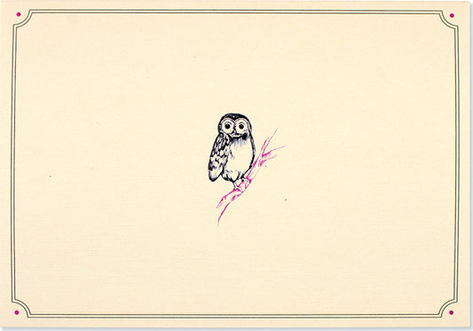 Owl Portrait Note Cards