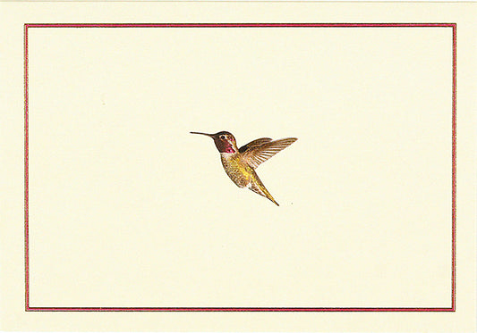 Hummingbird Flight Note Cards
